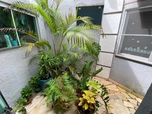 Casa de 3 suítes com piscina e spa em condomínio fechado — miniatura 13