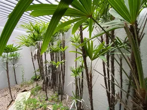 Sobrado de 3 suítes com piscina no Jardim Karaíba — miniatura 18
