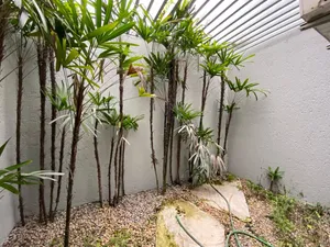 Sobrado de 3 suítes com piscina no Jardim Karaíba — miniatura 19