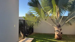 Casa de esquina com piscina aquecida e energia fotovoltaica em condomínio de alto padrão — miniatura 24