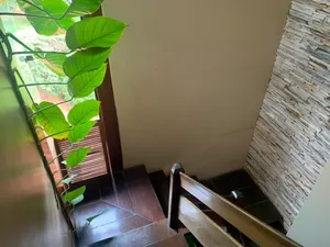 Sua empresa merece esta localização no Altamira — miniatura 25