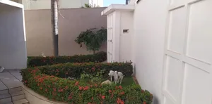 Sobrado de 3 quartos no Jardim Colina — miniatura 4
